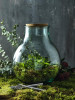 11325601f Terrarium ze szkła z recyklingu z zestawem ogrodniczym, bezbarwny