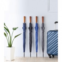 9601m-04 Parasol