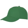 38666690f Czapka baseballówka Feniks typu 5 panel Unisex
