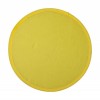 401584c-02 Frisbee