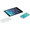 12366700fn Powerbank PB-4000 Zippy