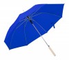 155272c-06 Parasol