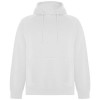 R10741Z5f Vinson bluza unisex z kapturem Unisex